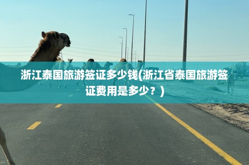 浙江泰国旅游签证多少钱(浙江省泰国旅游签证费用是多少？)