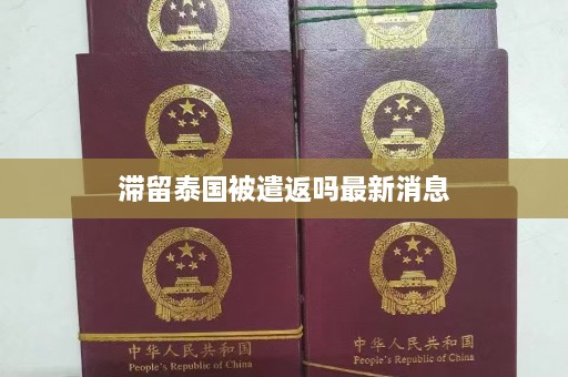 滞留泰国被遣返吗最新消息