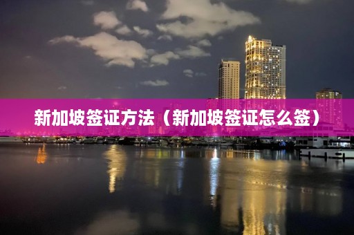 新加坡签证方法（新加坡签证怎么签）  第1张