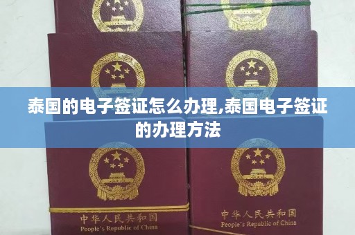 泰国的电子签证怎么办理,泰国电子签证的办理方法  第1张