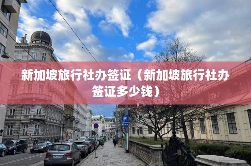 新加坡旅行社办签证（新加坡旅行社办签证多少钱）  第1张