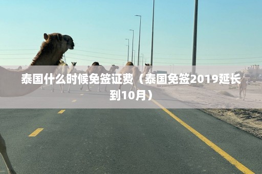 泰国什么时候免签证费（泰国免签2019延长到10月）