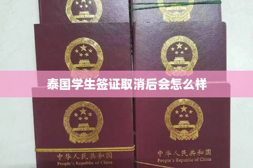 泰国学生签证取消后会怎么样  第1张