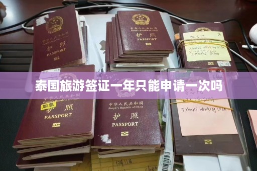 泰国旅游签证一年只能申请一次吗