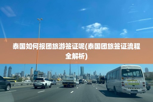 泰国如何报团旅游签证呢(泰国团旅签证流程全解析)