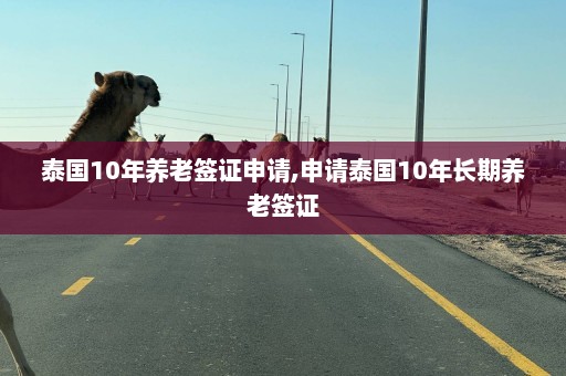 泰国10年养老签证申请,申请泰国10年长期养老签证