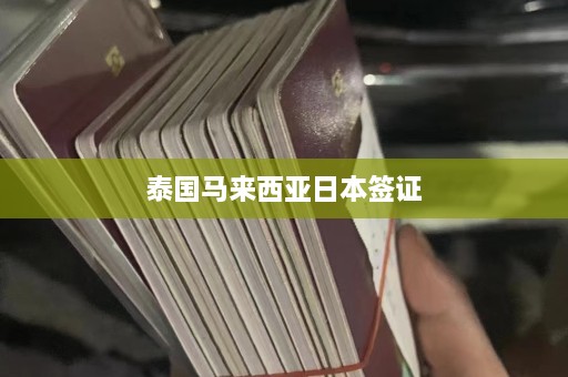 泰国马来西亚日本签证  第1张