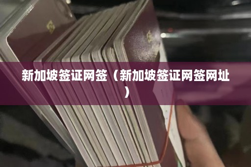 新加坡签证网签（新加坡签证网签网址）