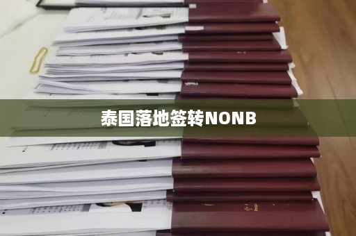 泰国落地签转NONB  第1张