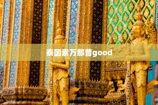 泰国素万那普good  第1张