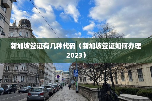 新加坡签证有几种代码（新加坡签证如何办理2023）