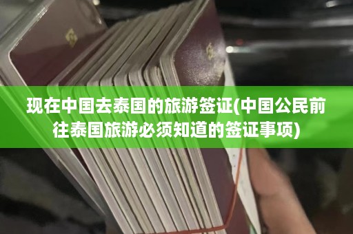 现在中国去泰国的旅游签证(中国公民前往泰国旅游必须知道的签证事项)  第1张