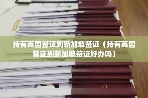 持有英国签证到新加坡签证（持有英国签证到新加坡签证好办吗）  第1张