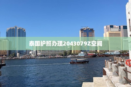 泰国护照办理2043079Z空间