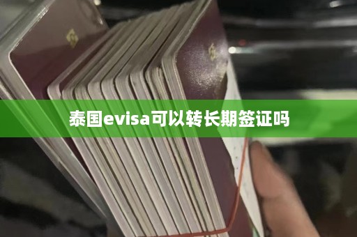 泰国evisa可以转长期签证吗  第1张