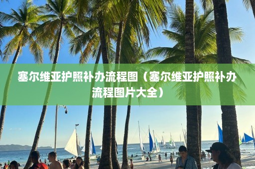 塞尔维亚护照补办流程图（塞尔维亚护照补办流程图片大全）