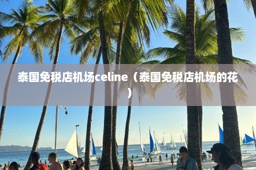 泰国免税店机场celine（泰国免税店机场的花）