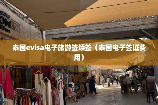 泰国evisa电子旅游签续签（泰国电子签证费用）