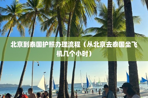 北京到泰国护照办理流程（从北京去泰国坐飞机几个小时）