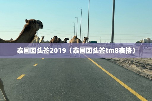 泰国回头签2019（泰国回头签tm8表格）