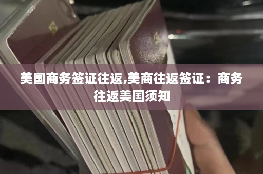 美国商务签证往返,美商往返签证：商务往返美国须知  第1张