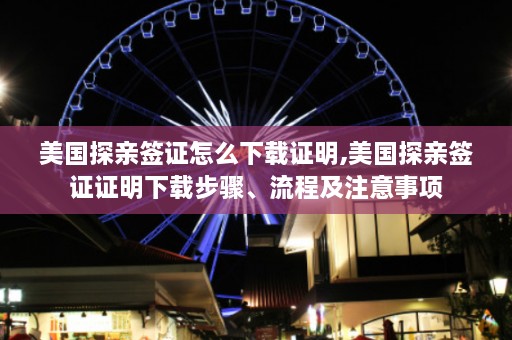 美国探亲签证怎么下载证明,美国探亲签证证明下载步骤、流程及注意事项  第1张