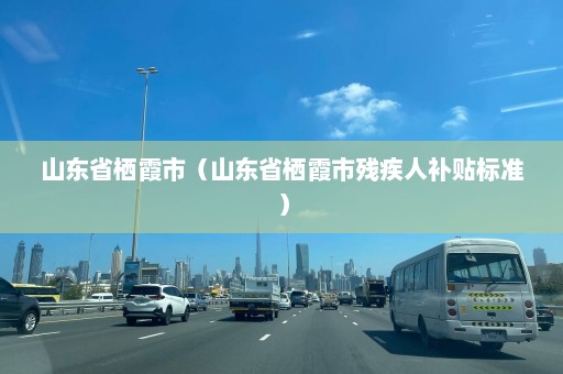 山东省栖霞市（山东省栖霞市残疾人补贴标准）