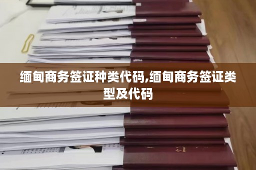  *** 商务签证种类代码, *** 商务签证类型及代码  第1张