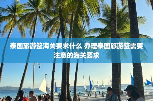 泰国旅游签海关要求什么 办理泰国旅游签需要注意的海关要求