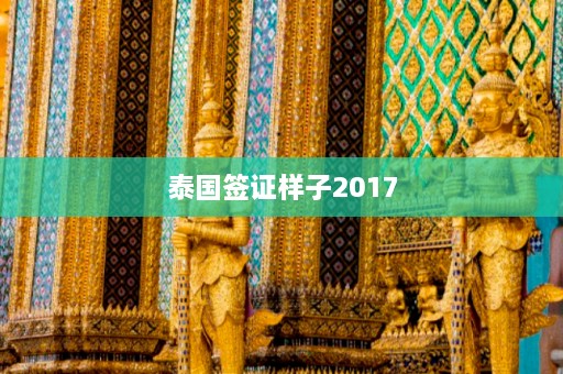 泰国签证样子2017  第1张