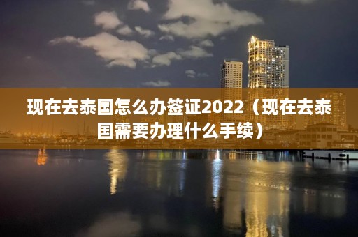 现在去泰国怎么办签证2022（现在去泰国需要办理什么手续）