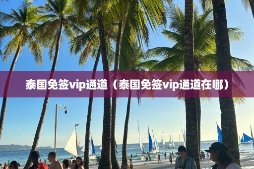 泰国免签vip通道（泰国免签vip通道在哪）