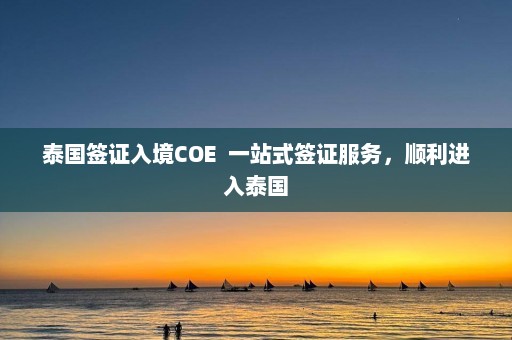 泰国签证入境COE  一站式签证服务，顺利进入泰国