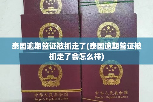 泰国逾期签证被抓走了(泰国逾期签证被抓走了会怎么样)