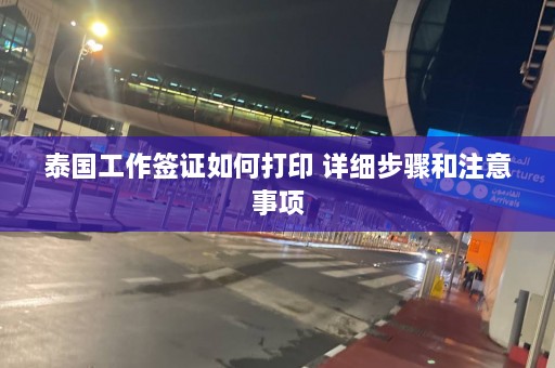 泰国工作签证如何打印 详细步骤和注意事项  第1张