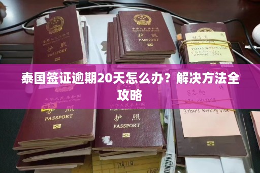 泰国签证逾期20天怎么办？解决方法全攻略