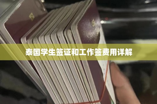 泰国学生签证和工作签费用详解  第1张