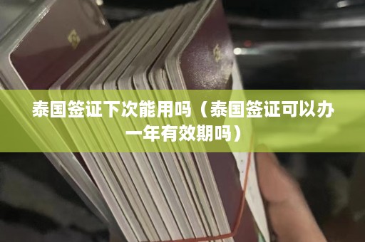 泰国签证下次能用吗（泰国签证可以办一年有效期吗）  第1张