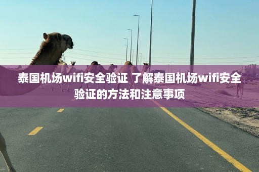 泰国机场wifi安全验证 了解泰国机场wifi安全验证的方法和注意事项