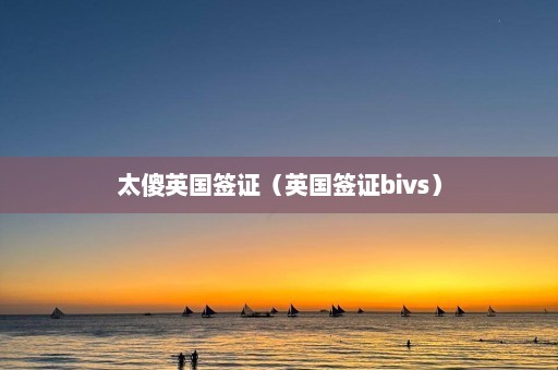 太傻英国签证（英国签证bivs）