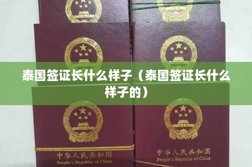 泰国签证长什么样子（泰国签证长什么样子的）  第1张