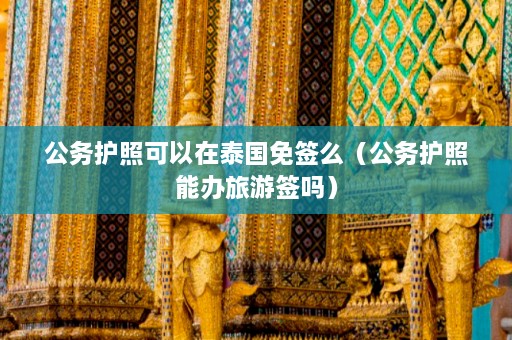 公务护照可以在泰国免签么（公务护照能办旅游签吗）