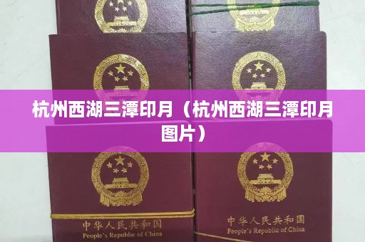 杭州西湖三潭印月（杭州西湖三潭印月图片）