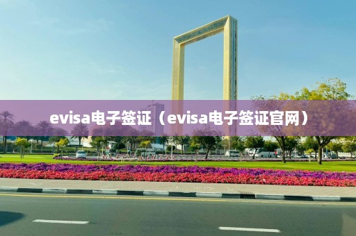 evisa电子签证（evisa电子签证官网）