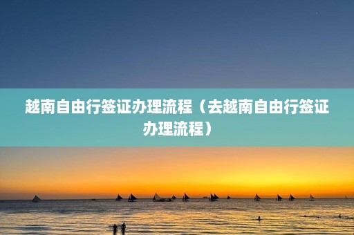 越南自由行签证办理流程（去越南自由行签证办理流程）