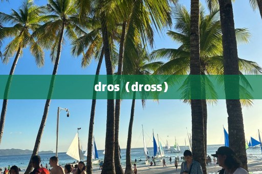 dros（dross）