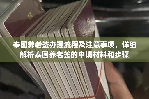 泰国养老签办理流程及注意事项，详细解析泰国养老签的申请材料和步骤  第1张