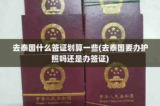 去泰国什么签证划算一些(去泰国要办护照吗还是办签证)  第1张