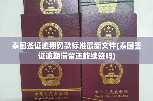 泰国签证逾期罚款标准最新文件(泰国签证逾期滞留还能续签吗)  第1张