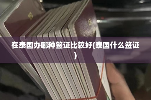 在泰国办哪种签证比较好(泰国什么签证)  第1张